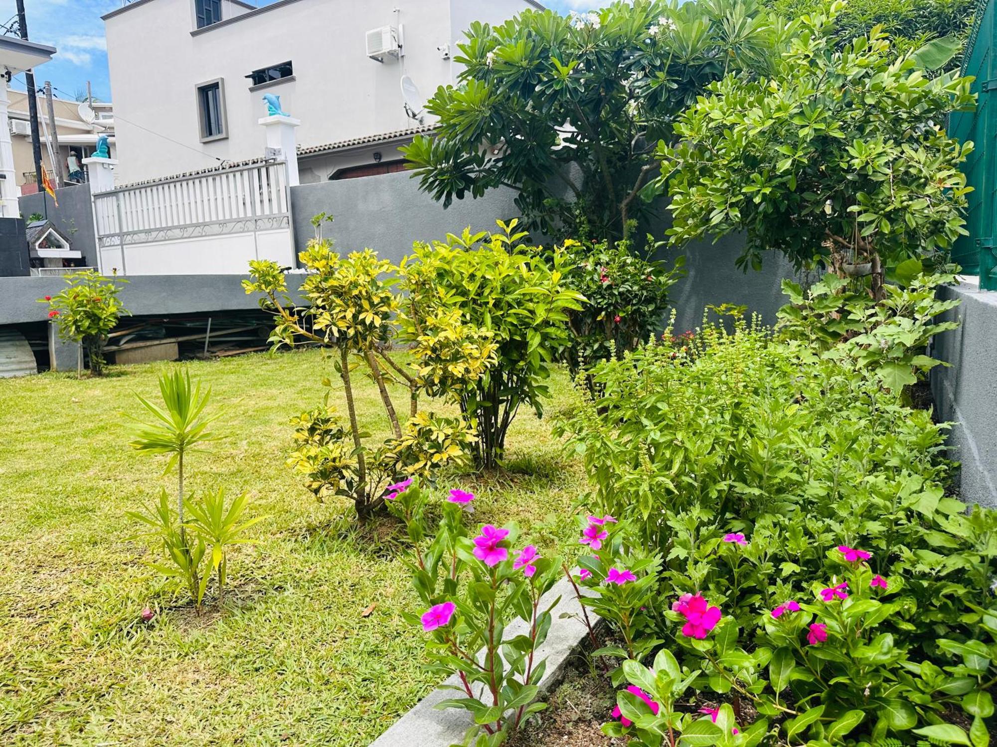 Lavender Le Morne Exterior foto