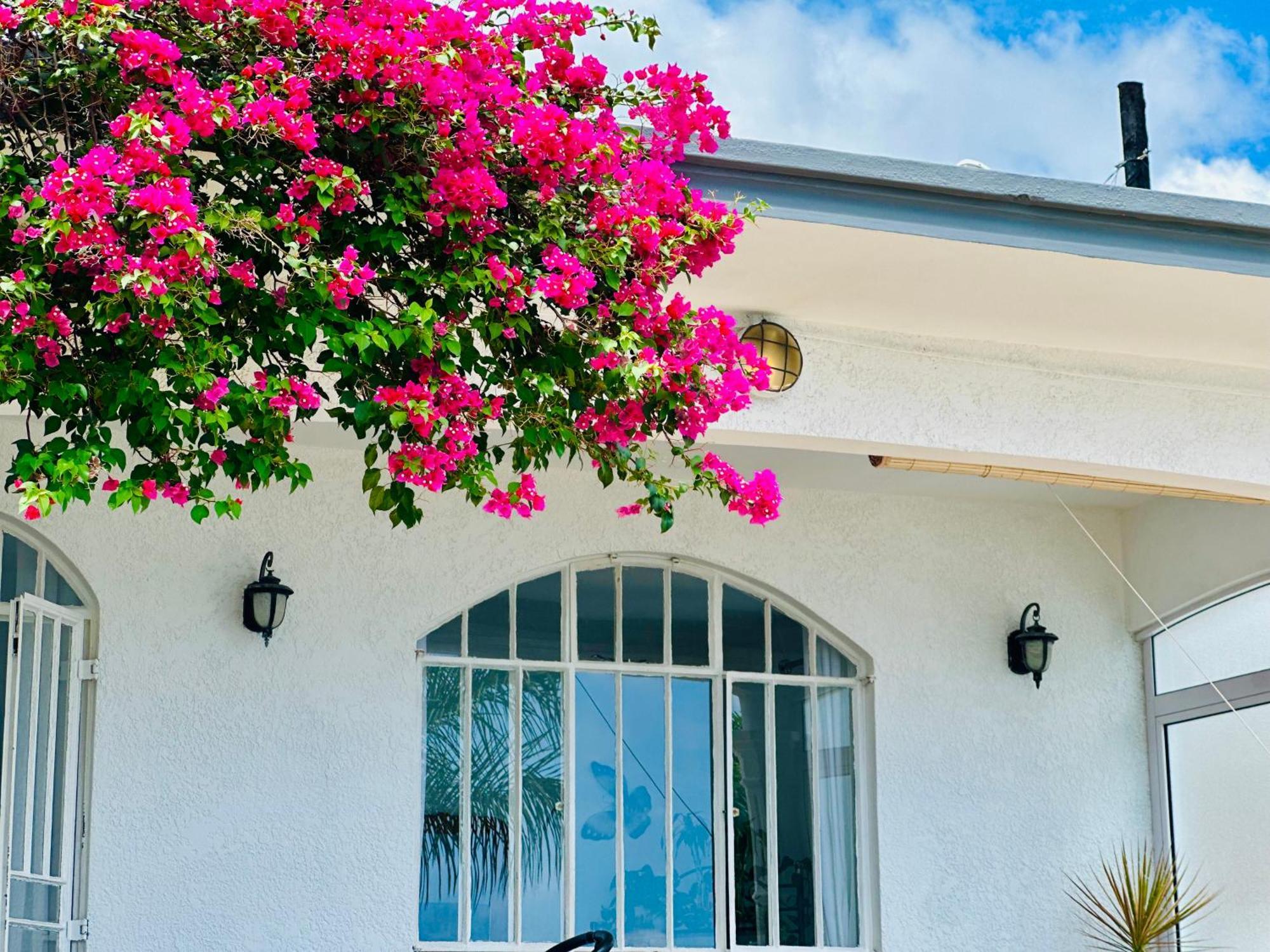 Lavender Le Morne Exterior foto
