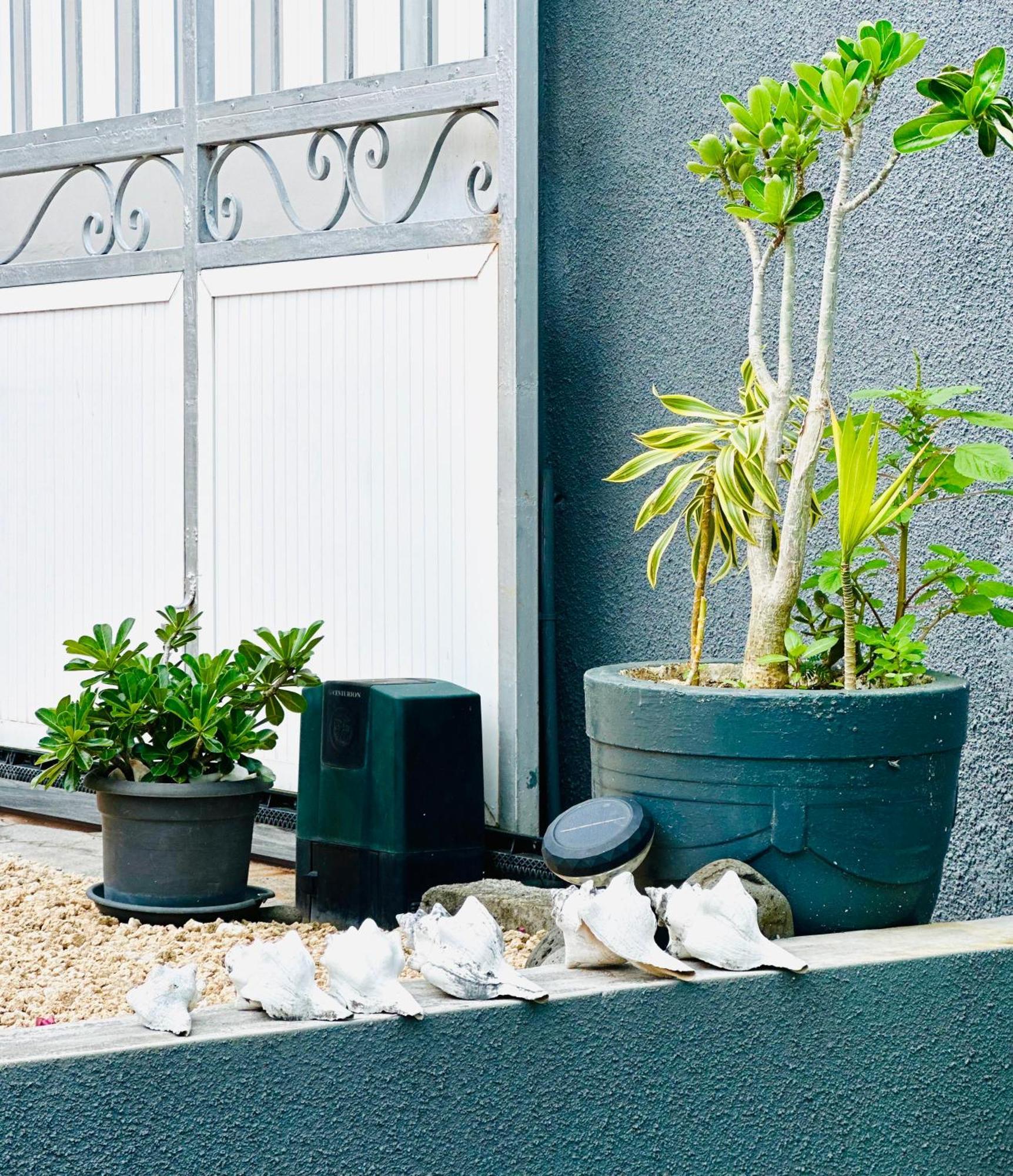 Lavender Le Morne Exterior foto